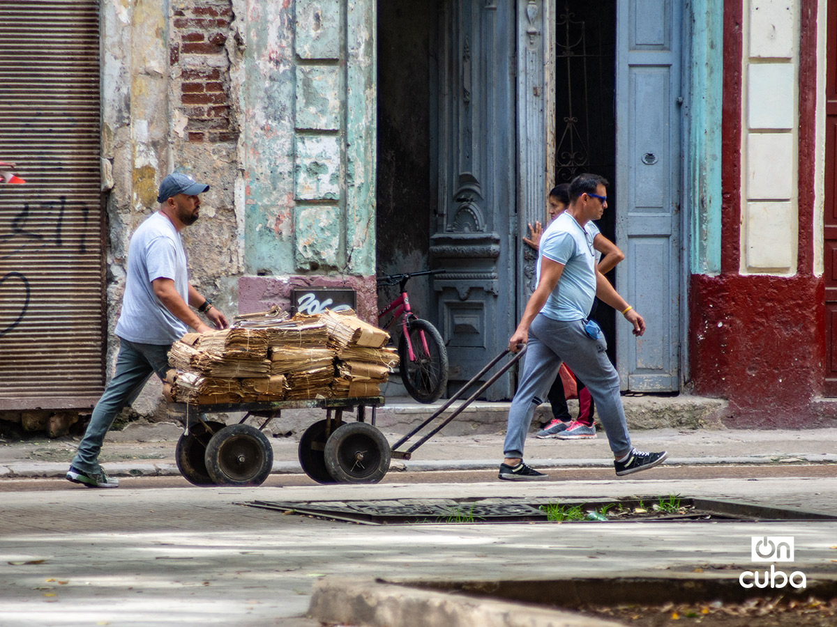 Foto: Otmaro Rodríguez.