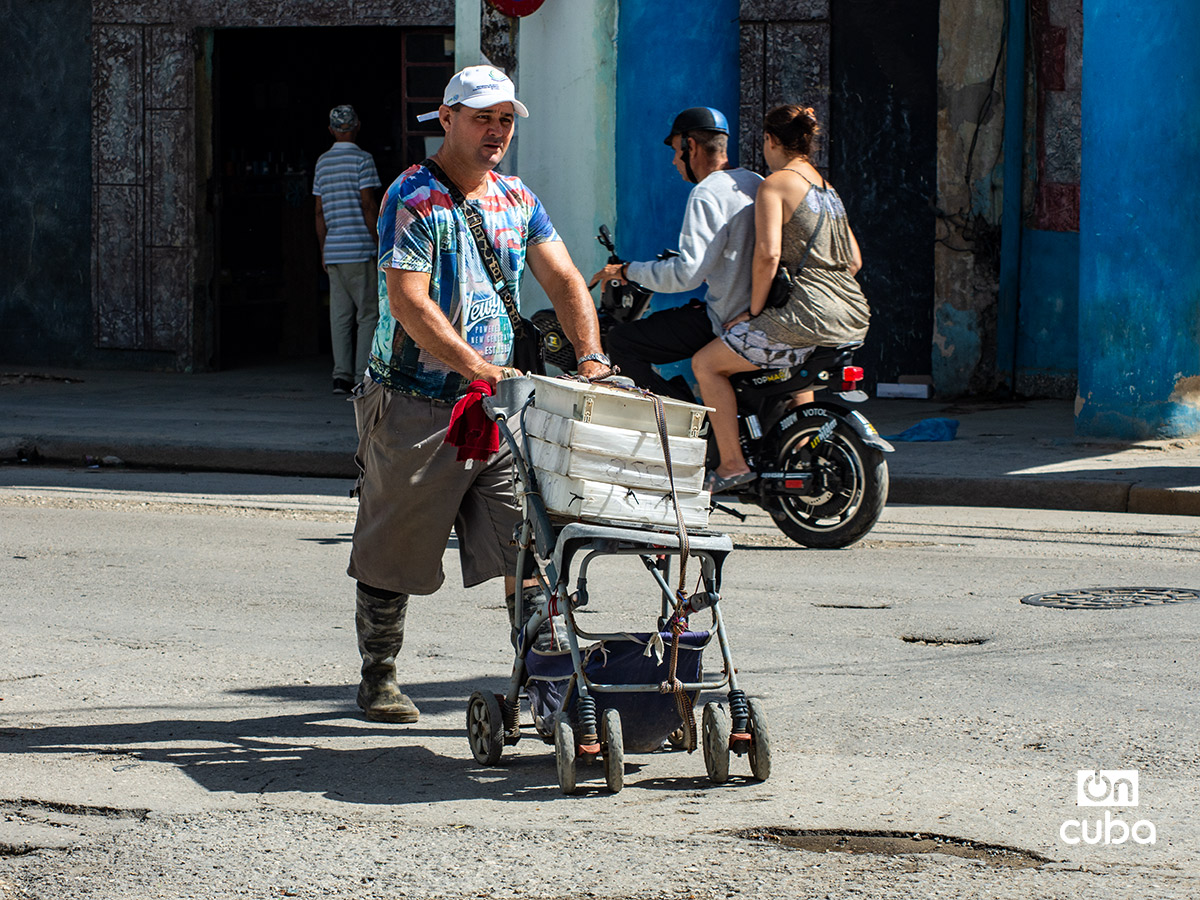 Foto: Otmaro Rodríguez.