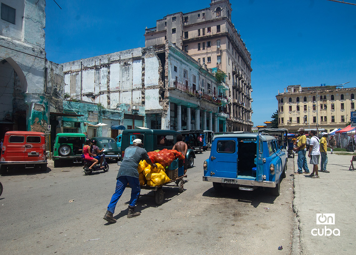 Foto: Otmaro Rodríguez.