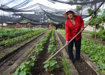La agricultora cubana Magalys Pedrero Basulto, incluida por la Organización de las Naciones Unidas para la Alimentación y la Agricultura (FAO) entre sus “100 heroínas en los sistemas agroalimentarios y el desarrollo rural”. Foto: FAO / ACN.