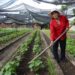 La agricultora cubana Magalys Pedrero Basulto, incluida por la Organización de las Naciones Unidas para la Alimentación y la Agricultura (FAO) entre sus “100 heroínas en los sistemas agroalimentarios y el desarrollo rural”. Foto: FAO / ACN.