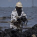 Fotografía del 29 de septiembre de 2026 de una empleada pública en una jornada de limpieza de petróleo derramado en una orilla del lago de Maracaibo. Foto: EFE/ Henry Chirinos.