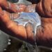 Empleo de mercurio en la minería ilegal de oro, en Las Tunas. Foto: Periódico 26.